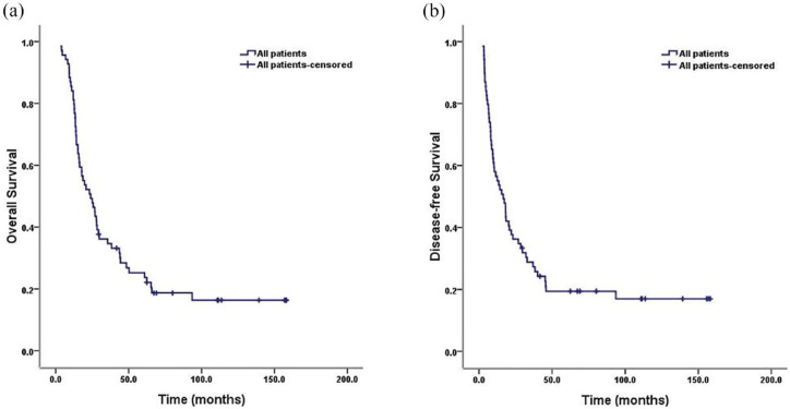 Characterizing esophageal mixed neuroendocrine-non-neuroendocrine neoplasms: insights from a retrospective multicenter study of clinical outcomes and prognostic indicators.