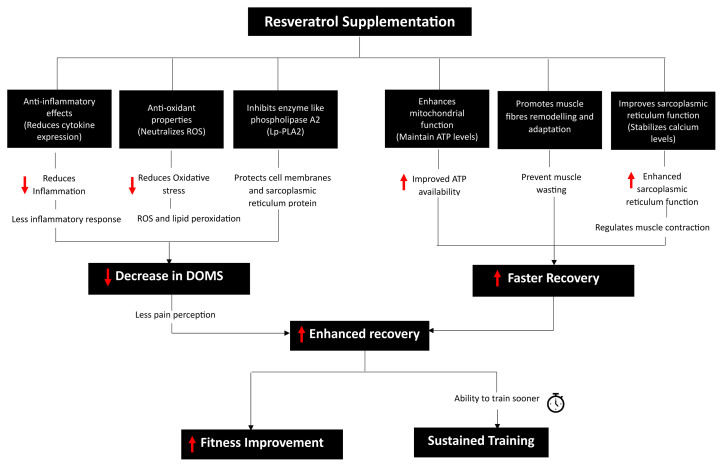 Effects of Resveratrol Supplementation on Delayed Onset Muscle Soreness and Muscle Recovery: A Systematic Review.