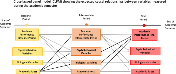 Longitudinal analysis of academic stress and its effects on salivary cortisol, alpha-amylase, and academic outcomes: Study protocol.