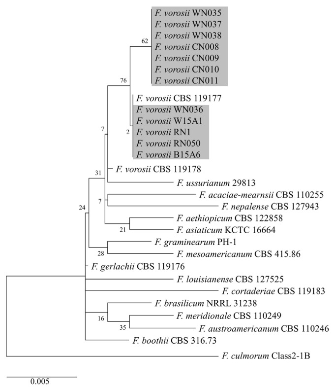 Mycological and Genomic Characterization of Fusarium vorosii, a Potentially Pathogenic Fungus, Isolated from Field Crops and Weeds in Korea.