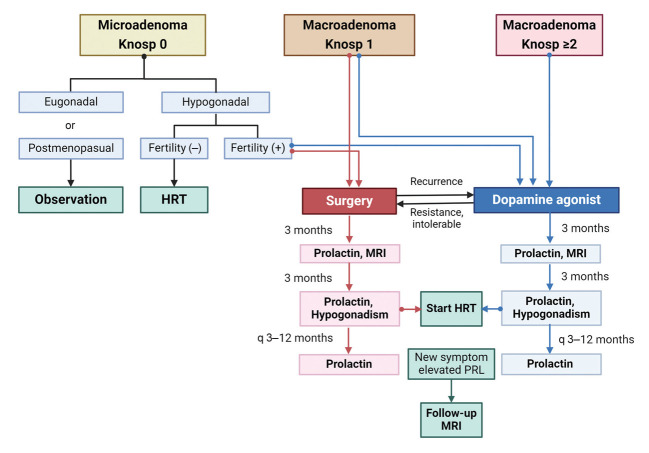 Reframing the Paradigm: A Nuanced Approach to Prolactinoma Management.