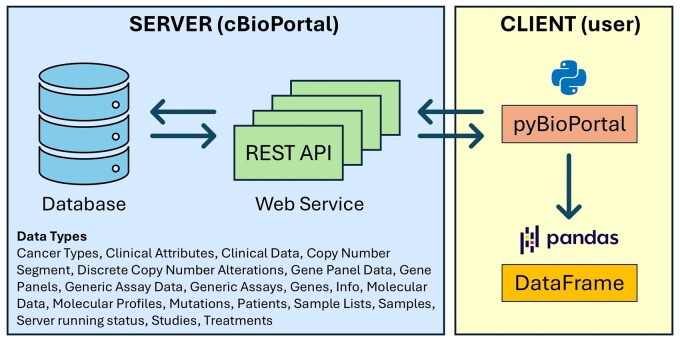 <i>pyBioPortal</i>: a Python package for simplifying cBioPortal data access in cancer research.