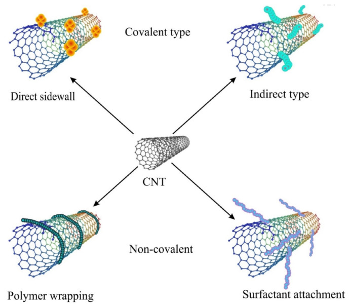 Therapeutic approach of carbon nanotube: Revolutionize nanomaterial in biomedical and pharmaceutical sector.