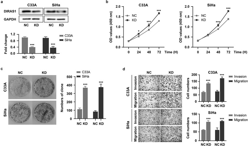 M6A modification regulates tumor suppressor DIRAS1 expression in cervical cancer cells.