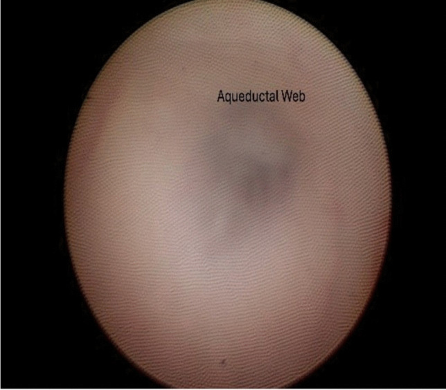 Abstract Image