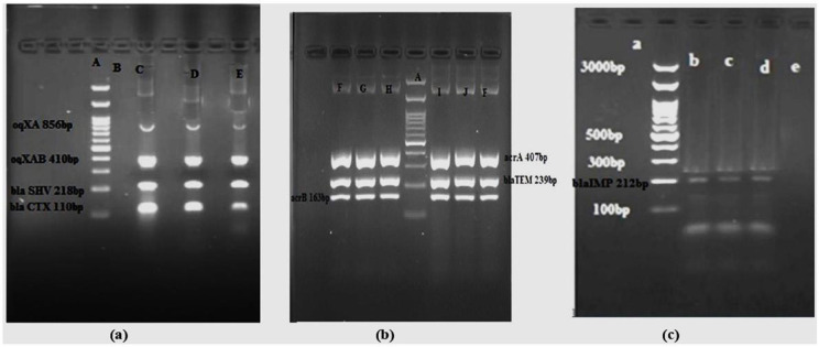Abstract Image