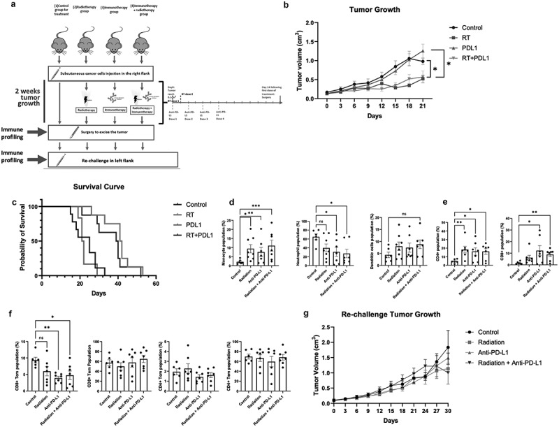 Effects of combined radiotherapy with immune checkpoint blockade on immunological memory in luminal-like subtype murine bladder cancer model.