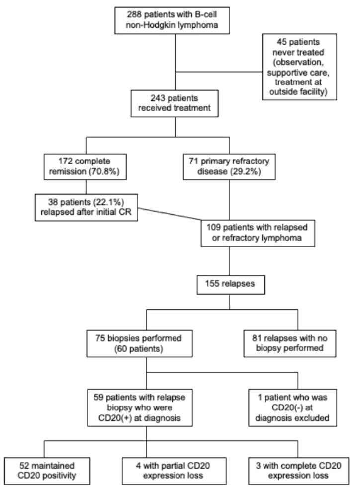 Retrospective Study of CD20 Expression Loss in Relapsed or Refractory B-Cell Non-Hodgkin Lymphoma.