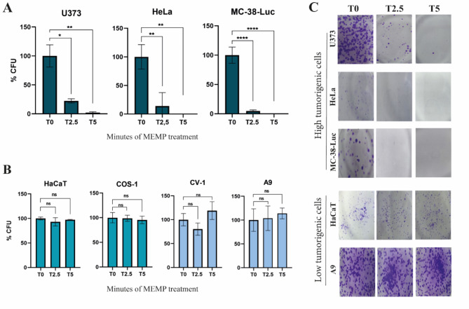 Assessment of molecular modulation by multifrequency electromagnetic pulses to preferably eradicate tumorigenic cells.