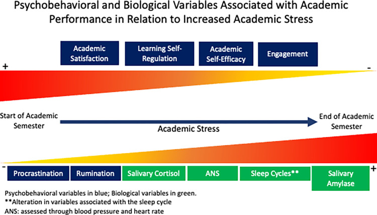 Longitudinal analysis of academic stress and its effects on salivary cortisol, alpha-amylase, and academic outcomes: Study protocol.