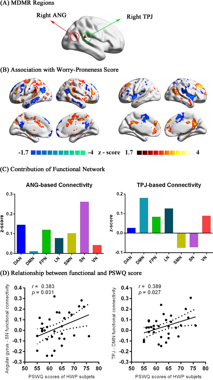 Deficient salience and default mode functional integration in high worry-proneness subject: a connectome-wide association study.