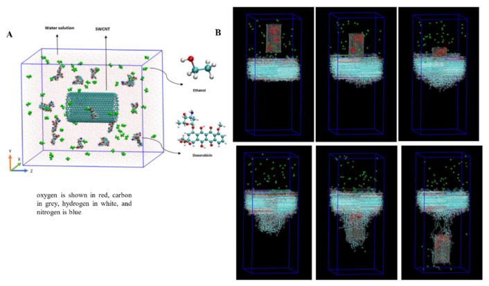 Therapeutic approach of carbon nanotube: Revolutionize nanomaterial in biomedical and pharmaceutical sector.