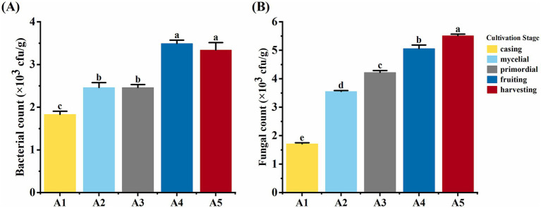 Physicochemical property and microbial community characteristics of the casing soil for cultivating <i>Oudemansiella raphanipes</i>.