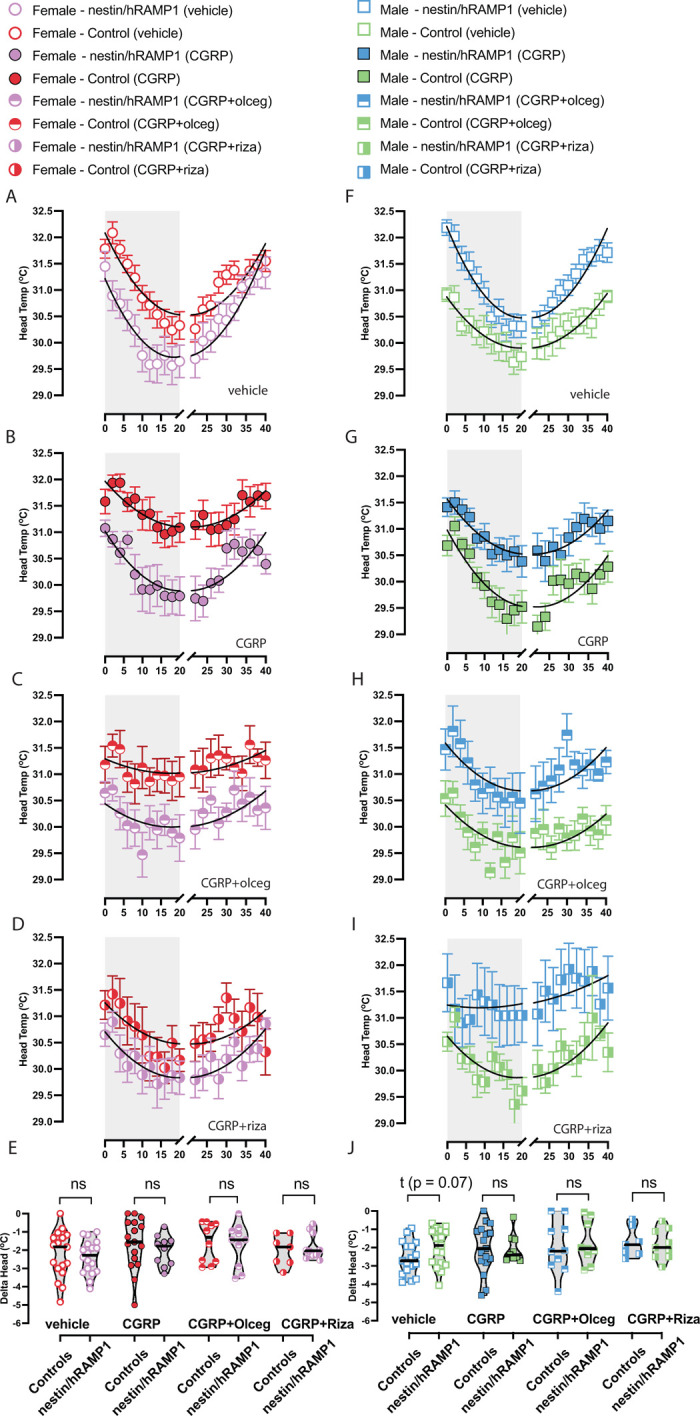 Human RAMP1 overexpressing mice are resistant to migraine therapies for motion sensitivity.