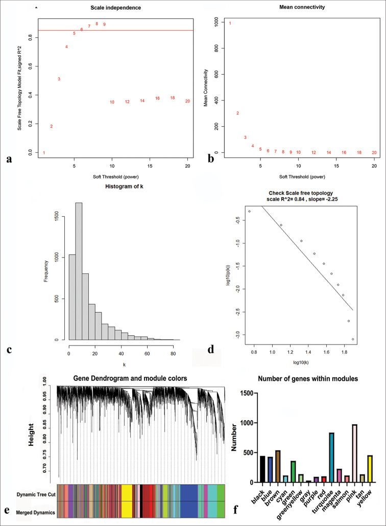 Identification of transcription factors associated with the disease-free survival of triple-negative breast cancer through weighted gene co-expression network analysis.