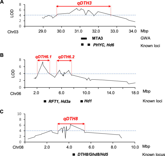 A genome-wide association study using Myanmar <i>indica</i> diversity panel reveals a significant genomic region associated with heading date in rice.