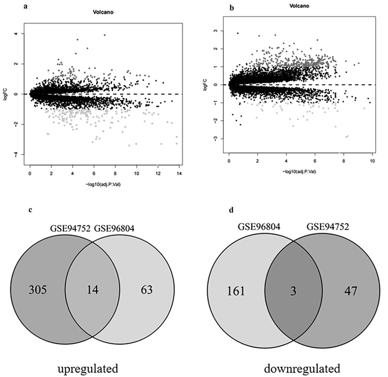 Identification of hub genes in the crosstalk between type 2 diabetic nephropathy and obesity according to bioinformatics analysis.