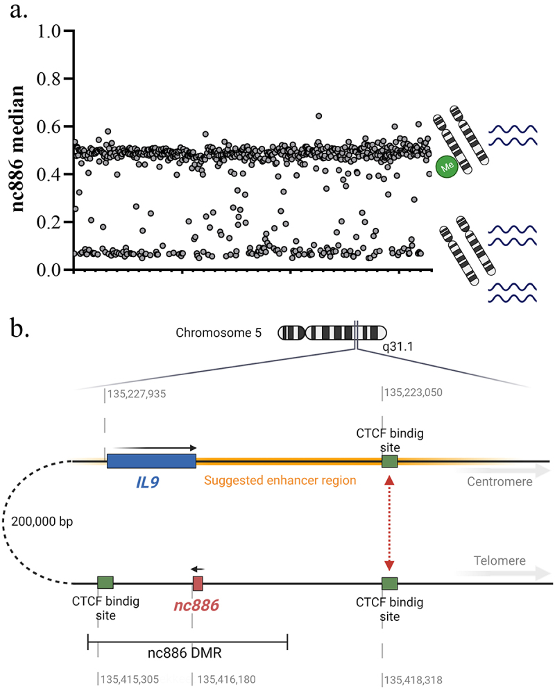 Non-coding 886 (<i>nc886</i>/<i>vtRNA2-1</i>), the epigenetic odd duck - implications for future studies.