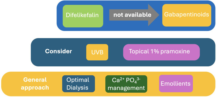 Identification and Management of CKD-Associated Pruritus: Current Insights.