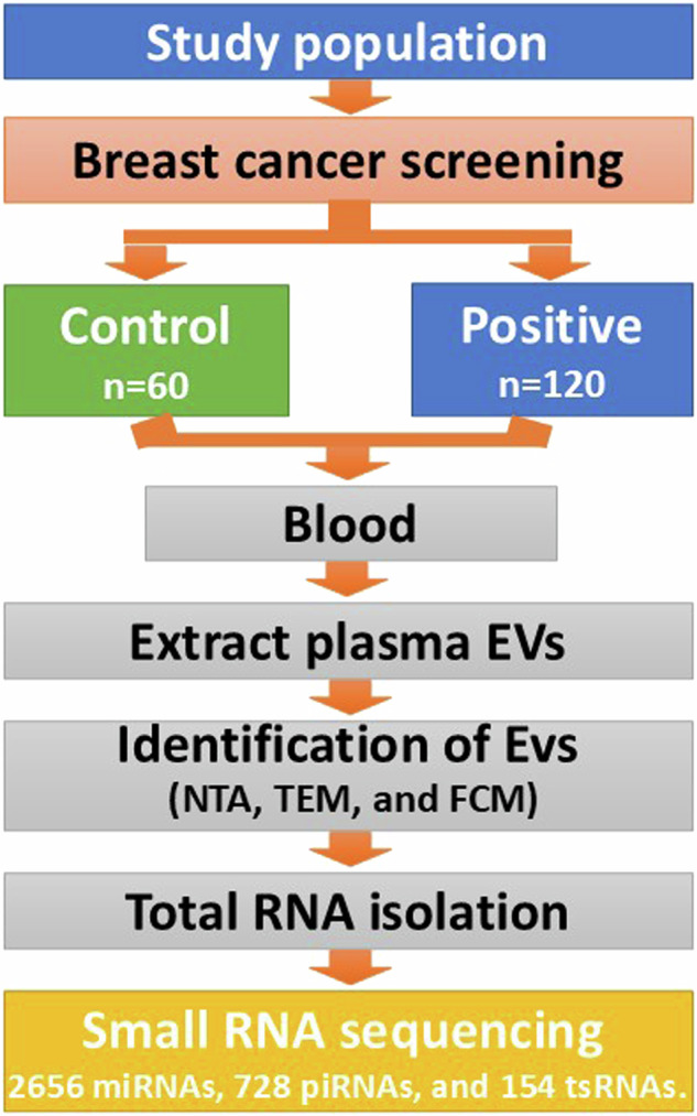 Small RNA sequencing data of plasma extracellular vesicles in a breast cancer screening population.