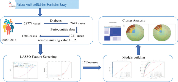 Exploring the risk factors and clustering patterns of periodontitis in patients with different subtypes of diabetes through machine learning and cluster analysis.