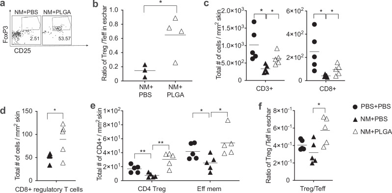 Attenuation of skin injury by a MARCO targeting PLGA nanoparticle.