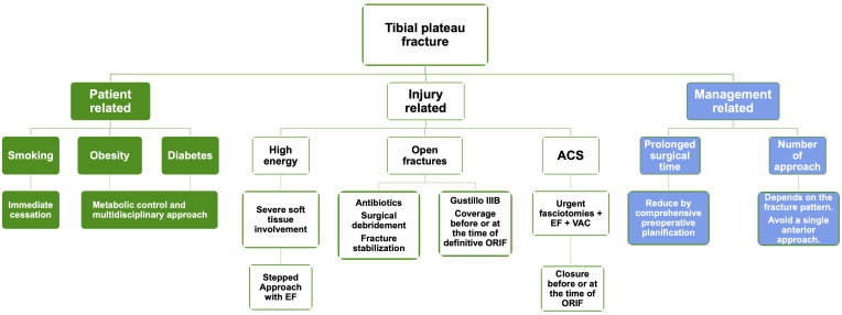 Fixation of tibial plateau fracture - risk factors for developing infection: a narrative review.