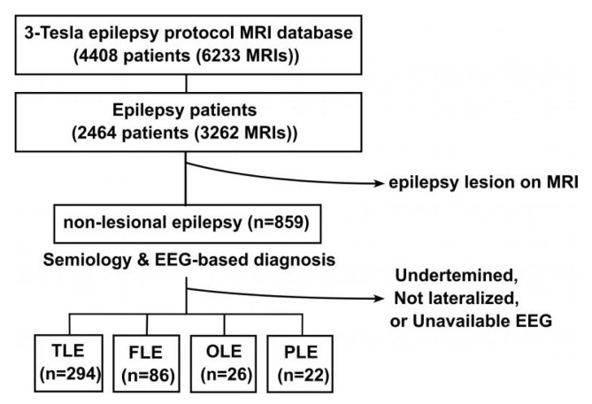 Lateralizing Value of Artificial Intelligence-Based Segmentation Software in MRI-Negative Focal Epilepsy.