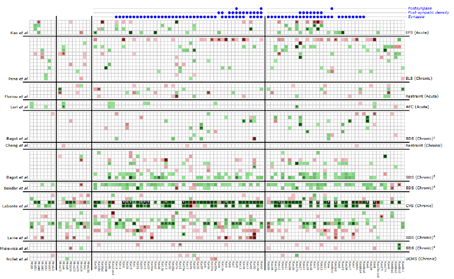 Dynamic Dysregulation of Ribosomal Protein Genes in Mouse Brain Stress Models.