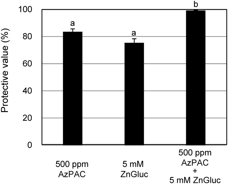 Zinc gluconate protects against plant virus infection in tomato and <i>Nicotiana benthamiana</i> plants.