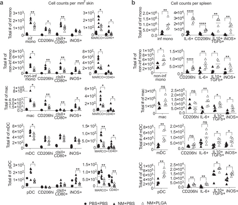 Attenuation of skin injury by a MARCO targeting PLGA nanoparticle.