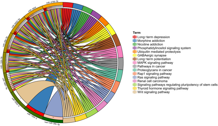 Differential Expression of miR-26b-5p, EGR1, and STAT1 in Peripheral Blood of Schizophrenia Patients.