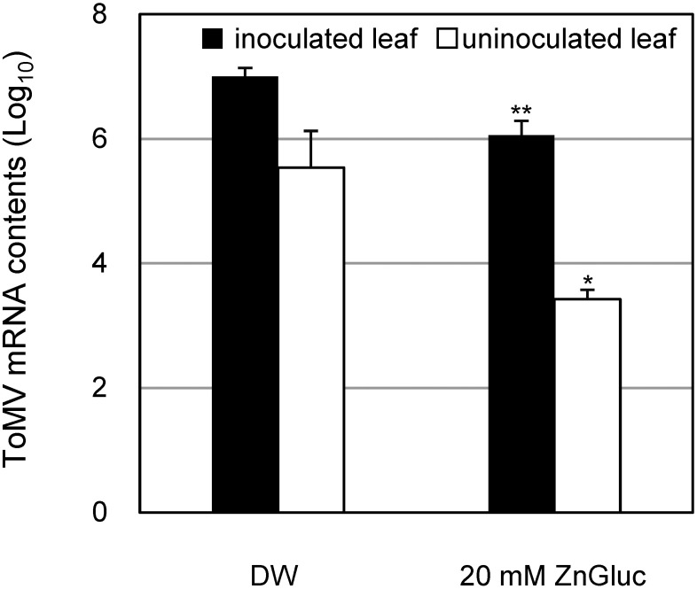 Zinc gluconate protects against plant virus infection in tomato and <i>Nicotiana benthamiana</i> plants.
