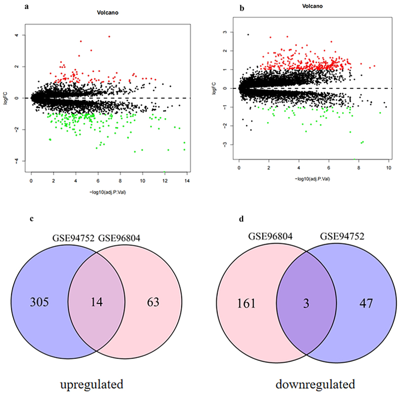 Identification of hub genes in the crosstalk between type 2 diabetic nephropathy and obesity according to bioinformatics analysis.