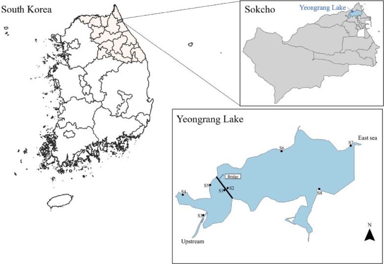 Distribution and risk assessment of metals in the aquatic environment following the installation of a low-lying bridge in Yeongrang Lake, Sokcho, Gangwon State, South Korea.