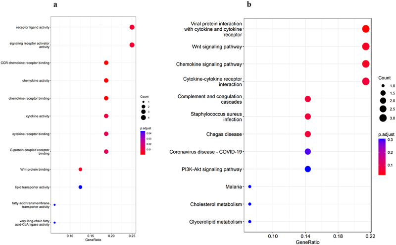 Identification of hub genes in the crosstalk between type 2 diabetic nephropathy and obesity according to bioinformatics analysis.
