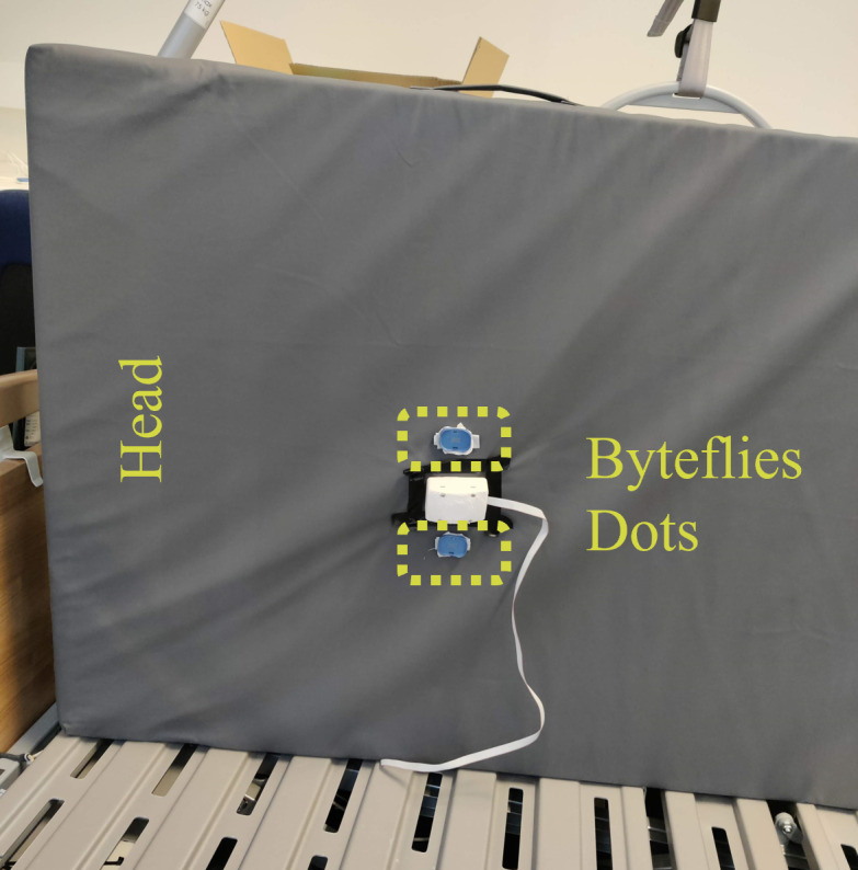 Unobtrusive Nighttime Movement Monitoring to Support Nursing Home Continence Care: Algorithm Development and Validation Study.