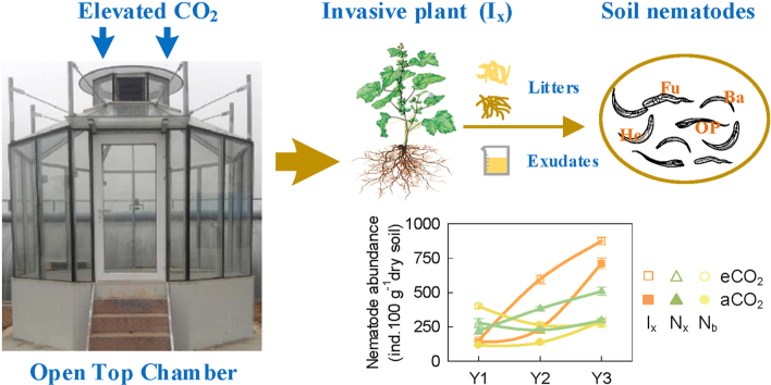 The effects of the invasive plants on soil nematodes vary with the duration of elevated CO<sub>2</sub> treatment.