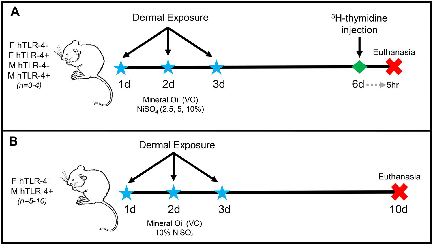 Assessment of dermal sensitization by nickel salts in a novel humanized TLR-4 mouse model.