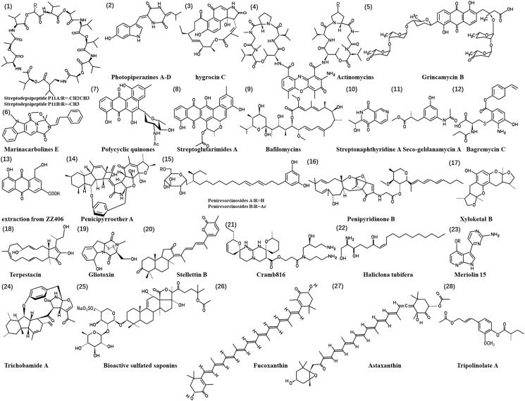 Prospects of marine-derived compounds as potential therapeutic agents for glioma.