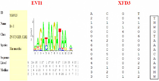 A Preliminary Study on Transcriptional Regulation of SNP Site C-1888T in the Promoter Region of Human PLUNC Gene and Nasopharyngeal Carcinoma Susceptibility.