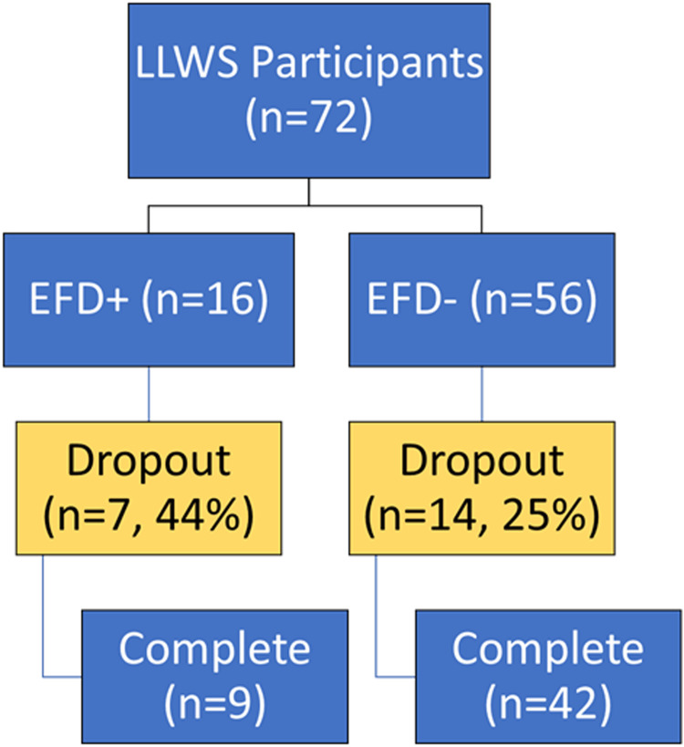 The Impact of Executive Function on Retention and Compliance in Physical Therapy in Veterans
