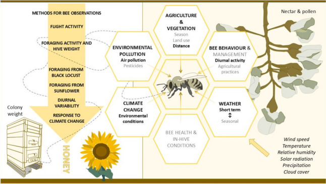 A review of short-term weather impacts on honey production