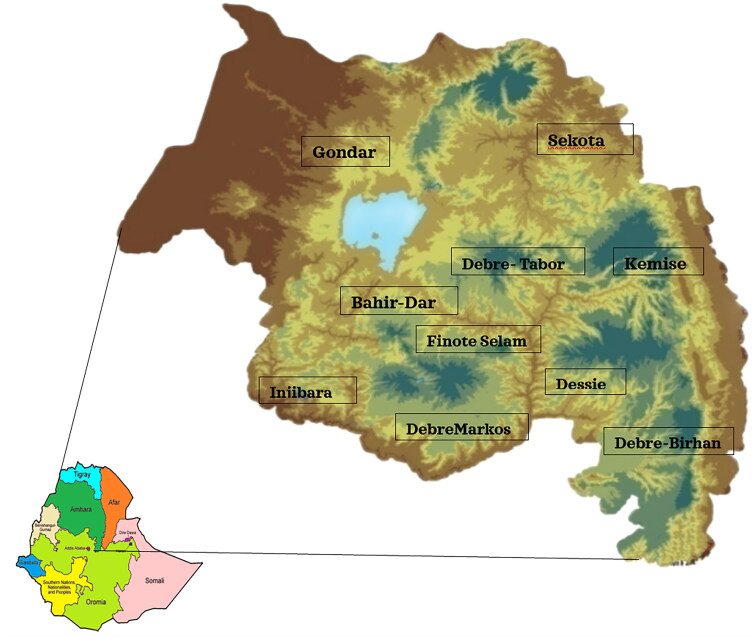 Assessment of traditional healers' knowledge and utilization of pharmaceutical equipment and medical supplies in the Amhara region, North West Ethiopia.