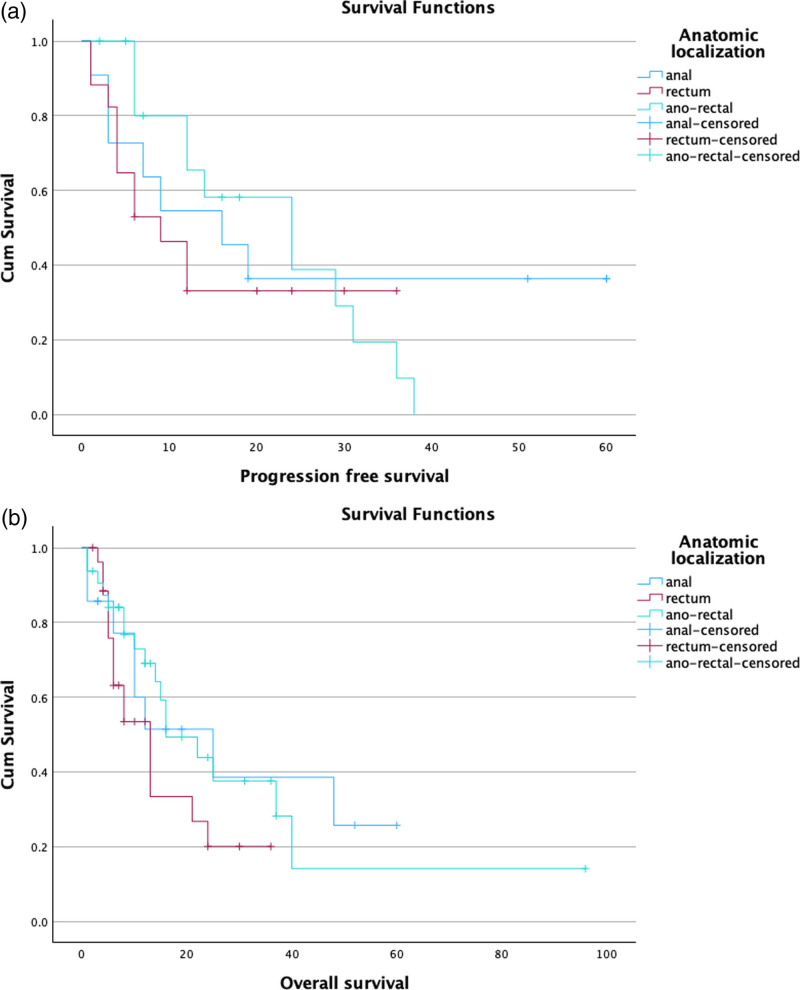 Anorectal melanoma: systematic review of the current literature of an aggressive type of melanoma.