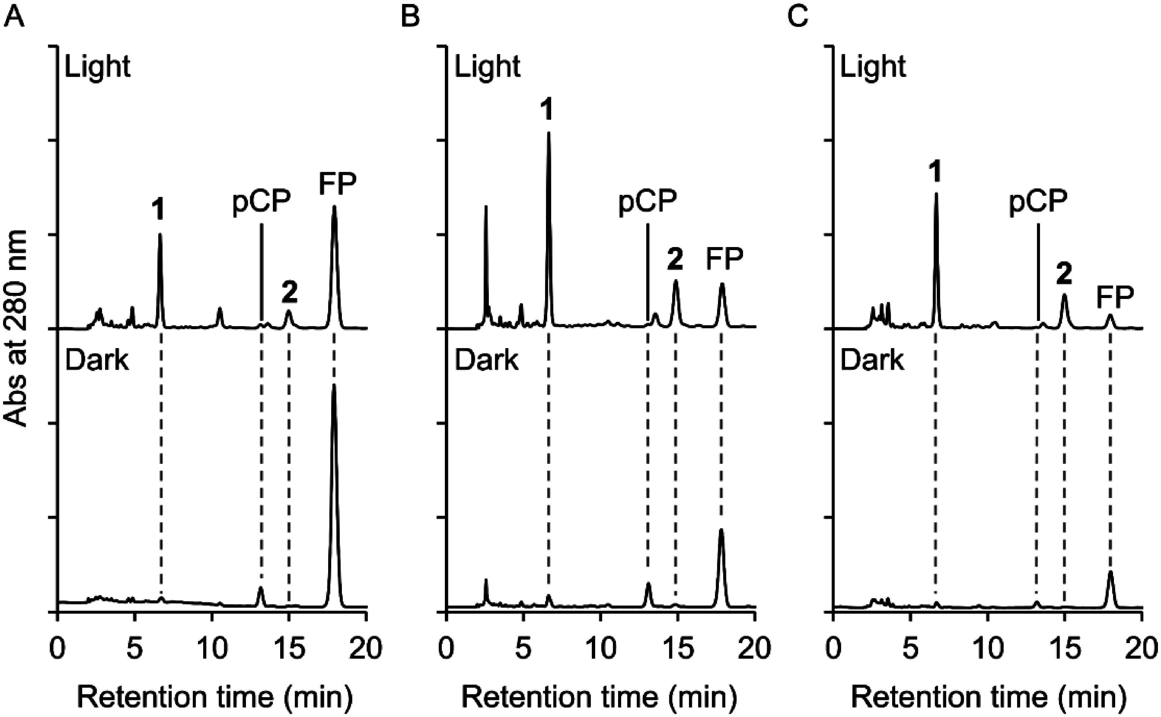 Occurrence of caffeoylquinic acids in bamboo suspension cells cultured under light.