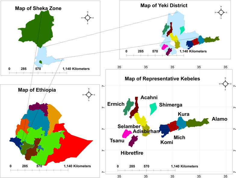 Ethnobotanical study of medicinal plants and their threats in Yeki district, Southwestern Ethiopia.