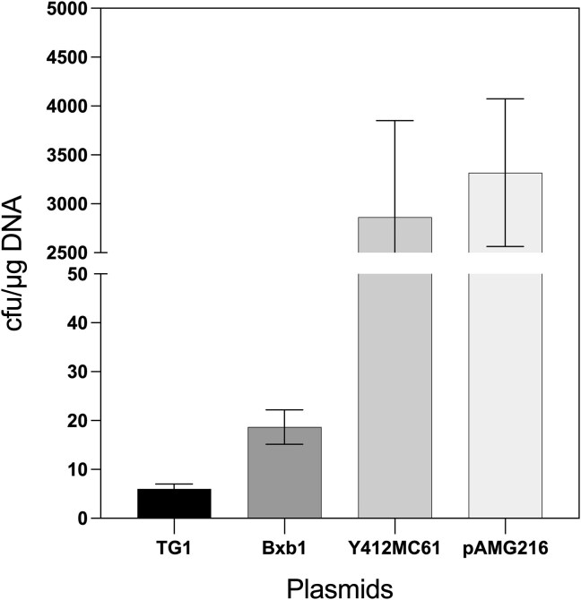 Thermophilic site-specific recombination system for rapid insertion of heterologous DNA into the Clostridium thermocellum chromosome.