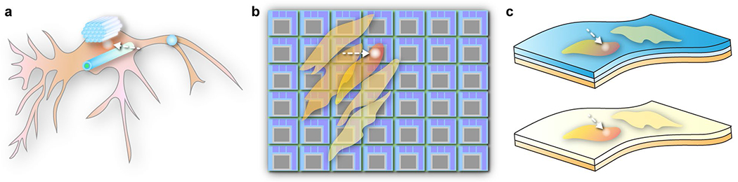 Perspectives on non-genetic optoelectronic modulation biointerfaces for advancing healthcare.