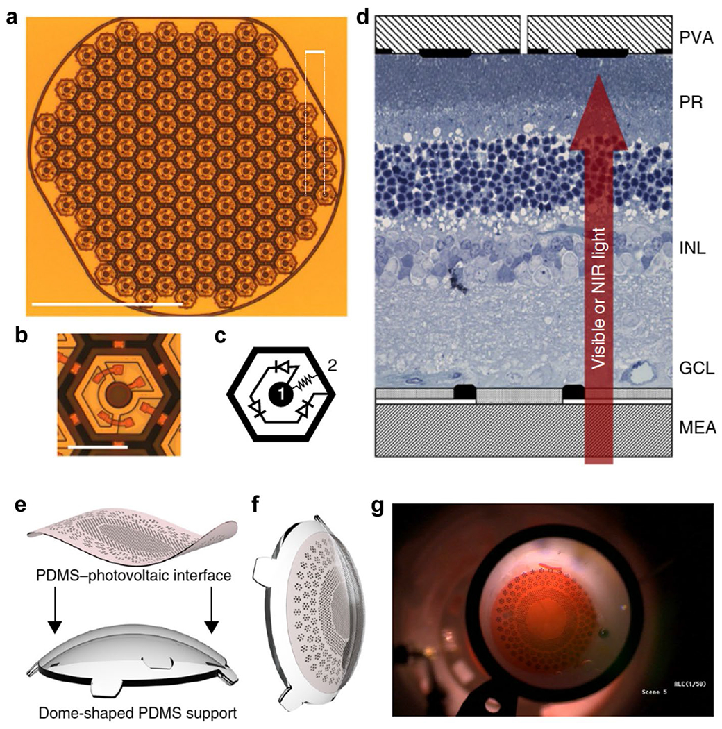 Perspectives on non-genetic optoelectronic modulation biointerfaces for advancing healthcare.